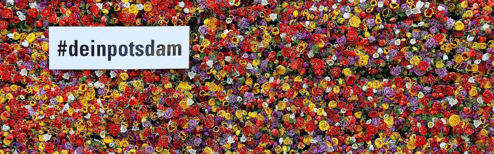 Dein Potsdam