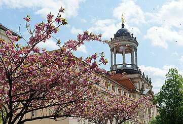 Großes Militärwaisenhaus Potsdam